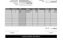 do excel data entry and make auto invoice generator and PDF